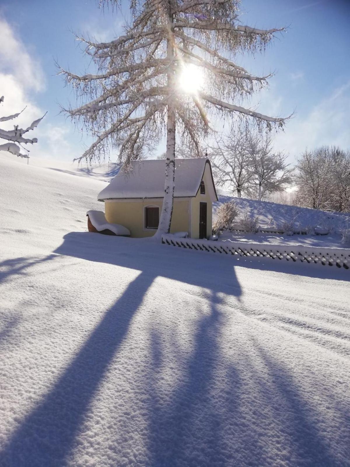 Alpenchalets Oberlaiming Itter Bagian luar foto